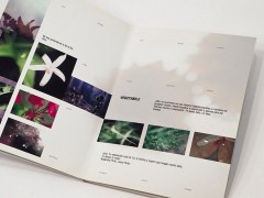 07macro_photobook