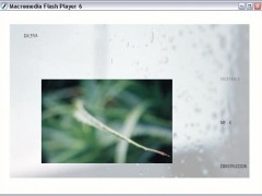 16macro_photobook_interactive
