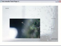 18macro_photobook_interactive