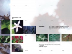 21macro_photobook