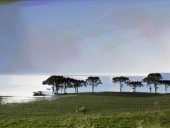 glitch11no-title