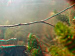 a-m07lagoons-anaglyph-3d-5156